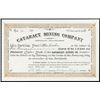 Image 1 : Cataract Mining Co. 1891 I/U Stock Certificate