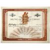 Image 1 : Humboldt Smelting and Reduction Co. 1904 I/U Stock Certificate