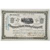 Image 1 : Chapparal Gold Mining Co. 1882 I/U Stock Certificate