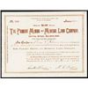 Image 1 : Panama Mining and Mineral Land Co. 1906 Issued Stock Certificate