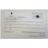 Image 4 : 10K WHITE GOLD BLACK DIAMOND (I-2, G-H)(1.78CT)