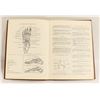 Image 2 : VINTAGE ANATOMY AND PHYSIOLOGY TEXT BOOK