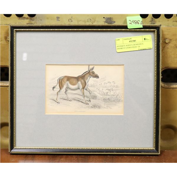ANTIQUE ASINUS HEMONIUS DONKEY LITHO FRAMED