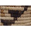 Image 8 : NATIVE AMERICAN PAPAGO BASKETRY BOWL