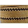 Image 8 : NATIVE AMERICAN MAKAH BASKETRY CONTAINER