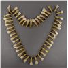 Image 1 : NATIVE AMERICAN PLAINS INDIAN HORSE TOOTH NECKLACE