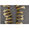 Image 5 : NATIVE AMERICAN PLAINS INDIAN HORSE TOOTH NECKLACE