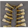 Image 6 : NATIVE AMERICAN PLAINS INDIAN HORSE TOOTH NECKLACE