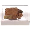 Image 1 : RARE JOE DIMAGGIO SIGNED BASEBALL GLOVE IN CASE ( JSA COA)