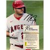 Image 2 : MIKE TROUT SIGNED 8X10 PHOTO (REAL AUTHENTIC COA)