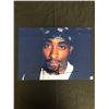 Image 1 : TUPAC SHAKUR SIGNED 8X10 PHOTO (REAL AUTHENTIC COA)