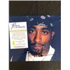 Image 2 : TUPAC SHAKUR SIGNED 8X10 PHOTO (REAL AUTHENTIC COA)