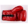 Image 4 : LENNOX LEWIS SIGNED EVERLAST BOXING GLOVE WITH DISPLAY CASE ( JSA COA)