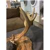 Image 2 : MOOSE ANTLER WALL PLAQUE