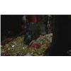Image 2 : Once Upon a Time - Treasure Coins Prop (S07E16) (4649)