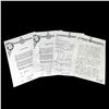 Image 1 : Once Upon a Time In Wonderland - Bethlem Royal Hospital Papers Prop (0024)