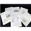 Image 2 : Once Upon a Time in Wonderland - Alice's Book Pages Prop (0059)