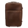 Image 1 : Louis Vuitton Brown Leather Pegase 55 Travel Bag