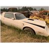 Image 2 : 1981 Pontiac TransAm - parts or restore