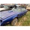 Image 2 : 1981 Pontiac TransAm - parts car, shaker hood