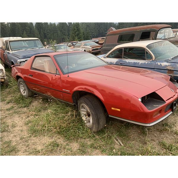 3rd Gen Camaro parts car