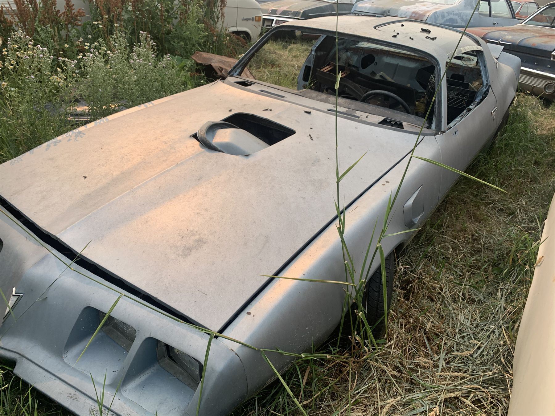 1981 Pontiac Trans Am parts or restore, nice project EG Auctions