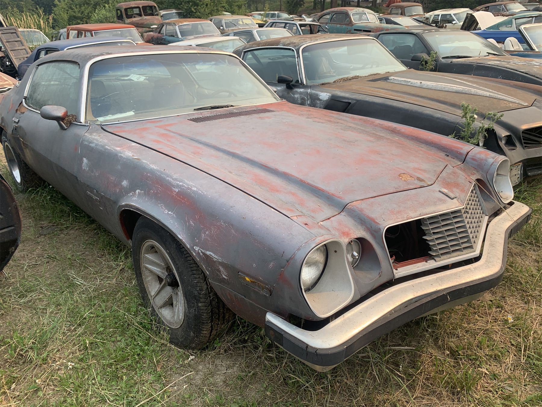 1976 (?) Chevy Camaro parts car, complete EG Auctions