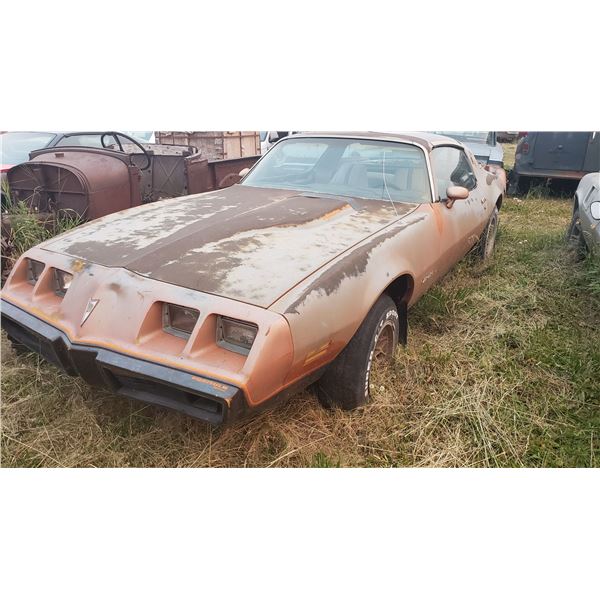 2nd Gen Firebird - parts car