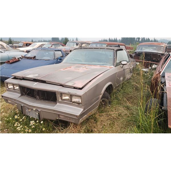 1980 Chevy Monte Carlo - Parts or restore, no motor