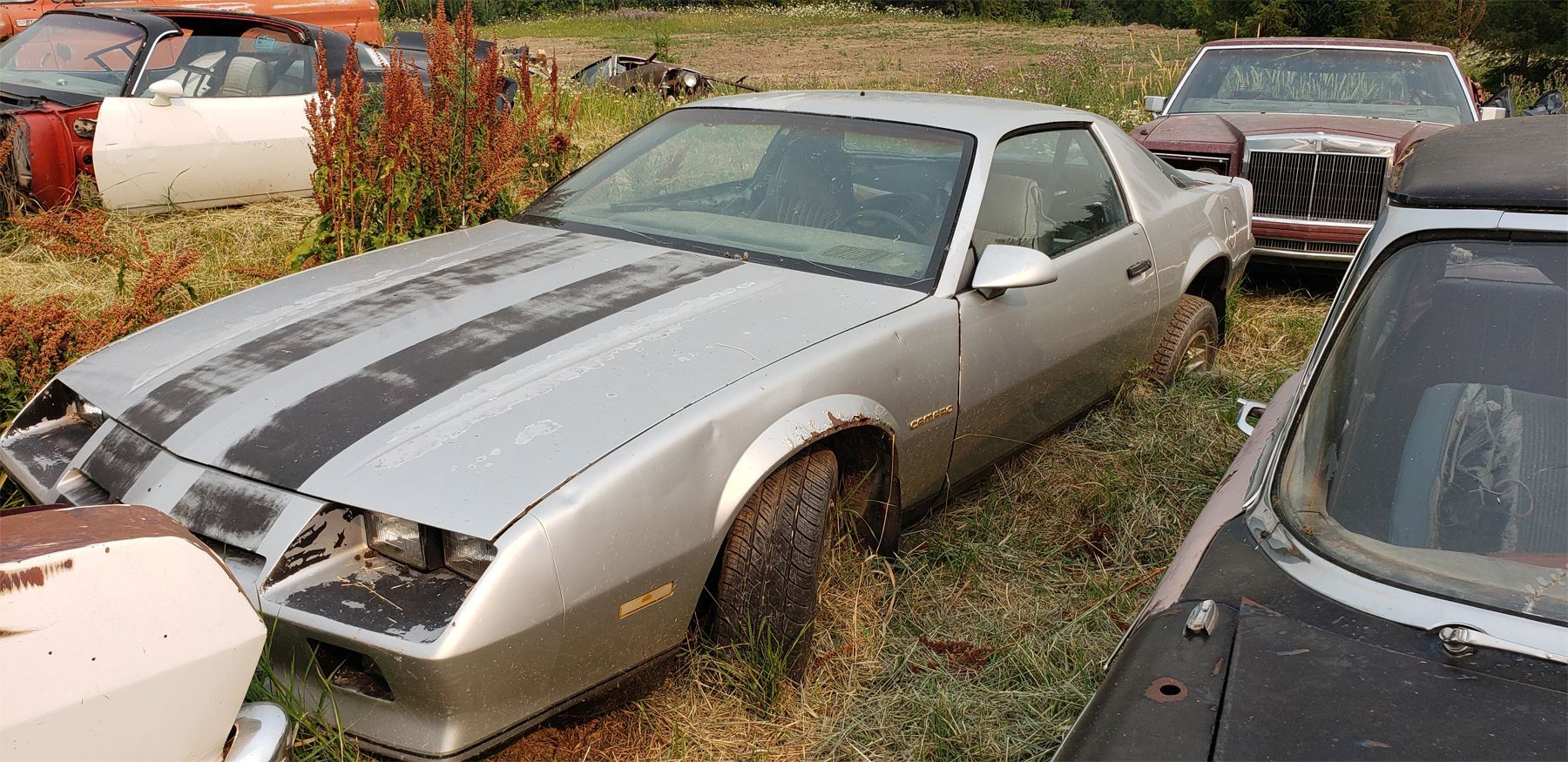 3rd Gen Camaro parts car EG Auctions
