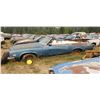 Image 2 : 1974 Buick convertible - parts car