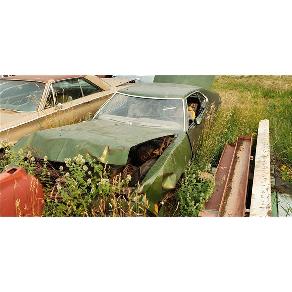 1973 Ford Torino - parts car