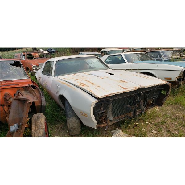 1978 Pontiac Firebird parts car