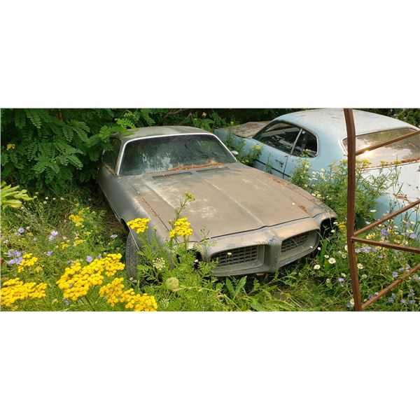 1972 Pontiac Firebird - parts or restore