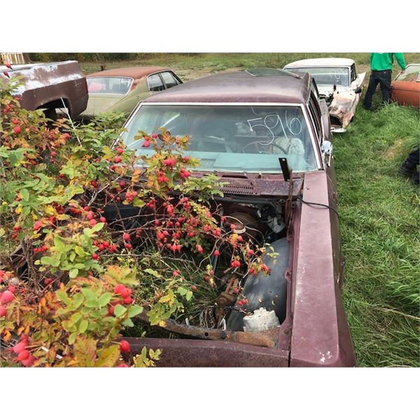 1965 Impala Wagon parts car