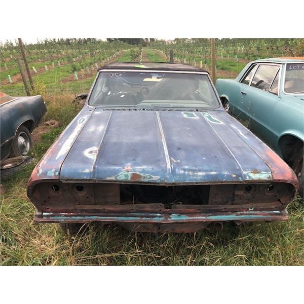 1964 Acadian Convertible SD