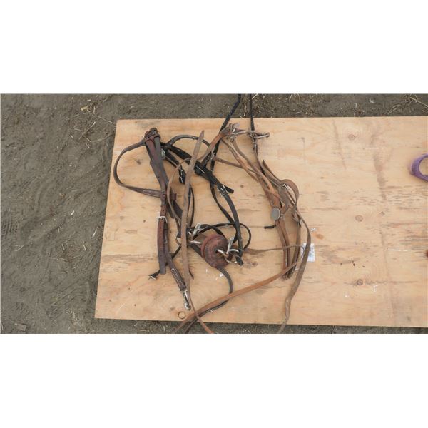 3 BRIDLES