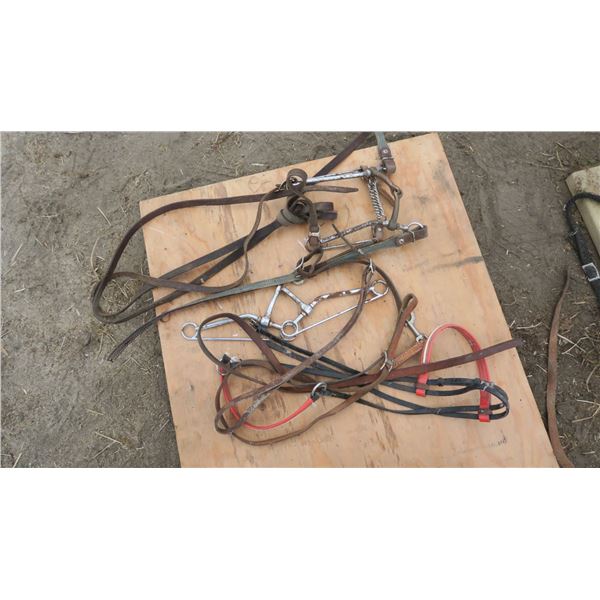 BRIDLE BIT + LINE ACCESSORIES