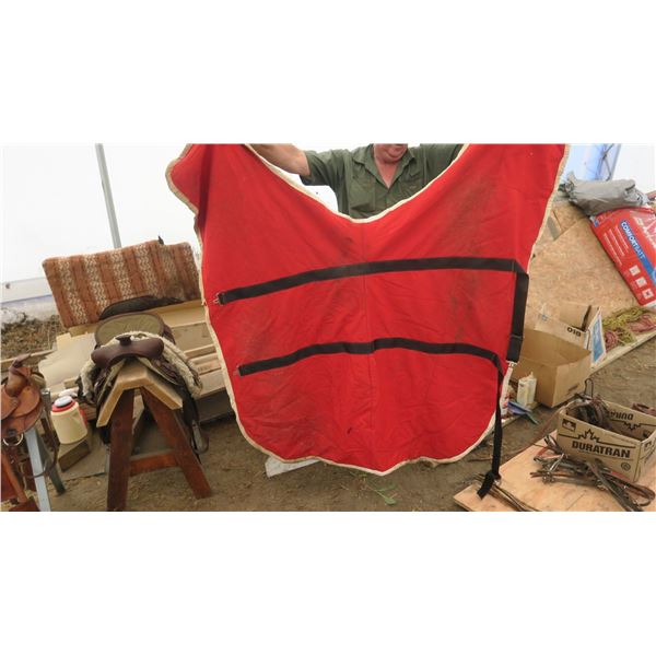 HORSE PONY BLANKET