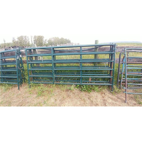HI-HOG 12' 6 BAR STOCK PANELS *7 TIMES THE MONEY* (LIKE NEW)