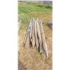 Image 1 : LOT OF 6' & 8' FENCE POSTS, APPROX 16