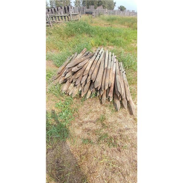 LOT OF 5' & 6' FENCE POSTS, APPROX 60