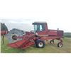 Image 3 : HESTON 6450 (1981) 18' SWATHER, DOUBLE CUT, TWIN KNIFE, CAB, GAS \, 1727.7 HOURS SHOWING SN#8453481