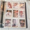 Image 19 : hockey trading cards over 550 pretty set sorted near complete lots of rookies