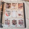 Image 22 : hockey trading cards over 550 pretty set sorted near complete lots of rookies
