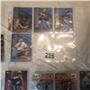 Image 3 : lot of modern hockey cards and inserts