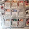 Image 6 : lot of modern hockey cards and inserts