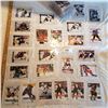 Image 1 : 309 large lot of modern over size hockey trading cards mint in plastic covers Gretzky Belfour