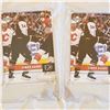 Image 6 : 309 large lot of modern over size hockey trading cards mint in plastic covers Gretzky Belfour