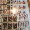 Image 8 : Huge Pavel Bure lot hockey trading card collector lot